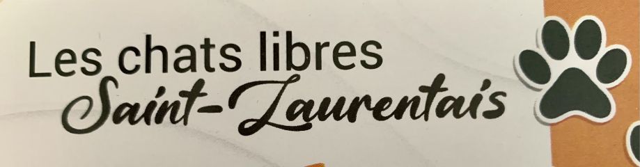 chats libres